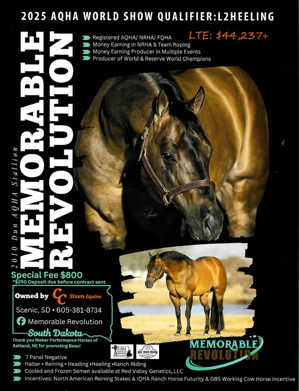 Memorable Revolution