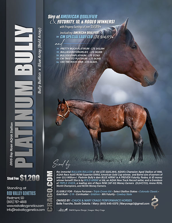 Platinum Bully