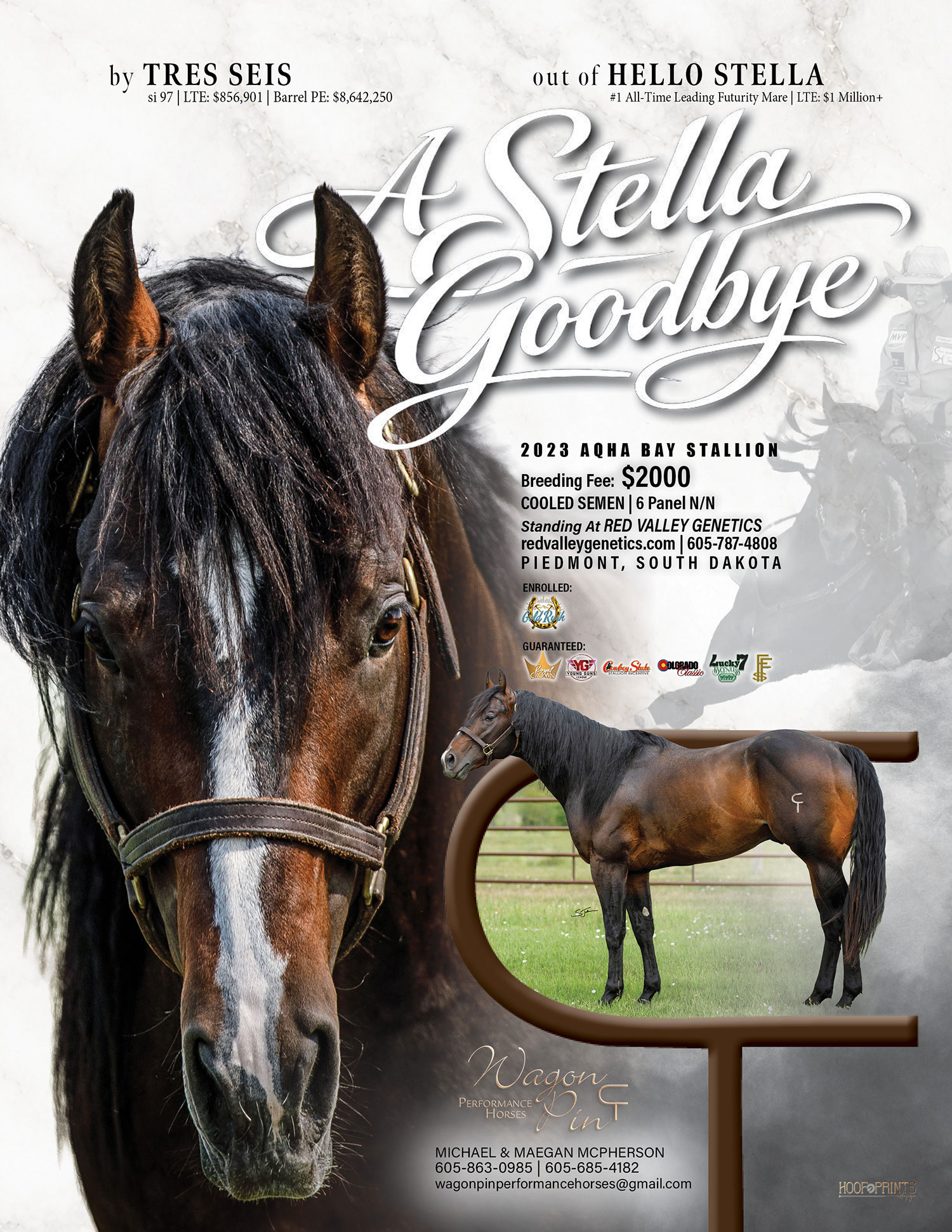A STELLA GOODBYE